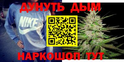 крисы Ливны