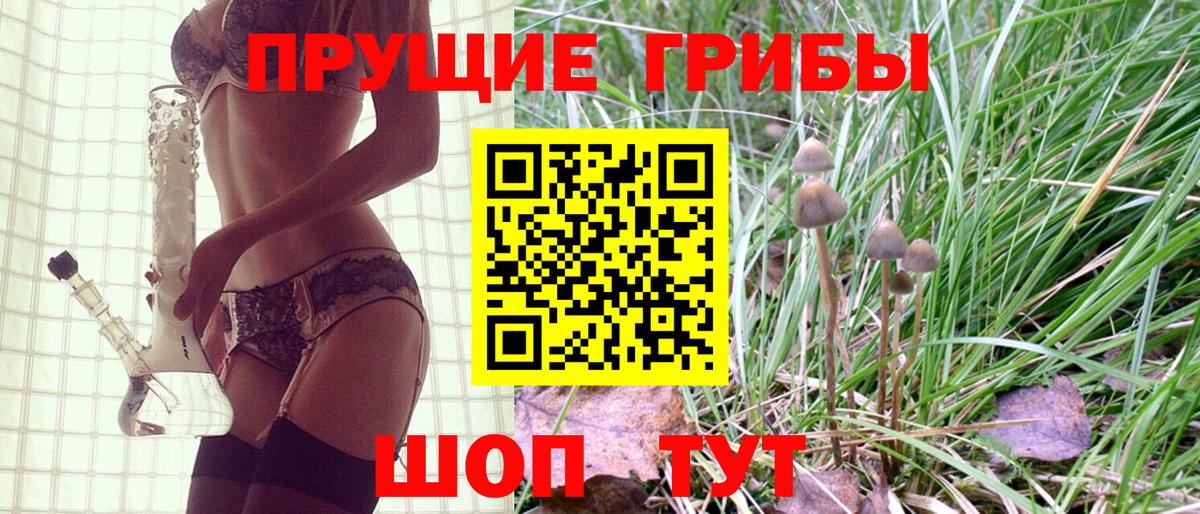 Галлюциногенные грибы прущие грибы Железноводск